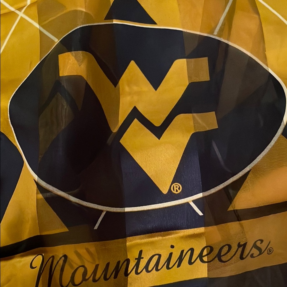 Mountaineers Gold and Blue Flag